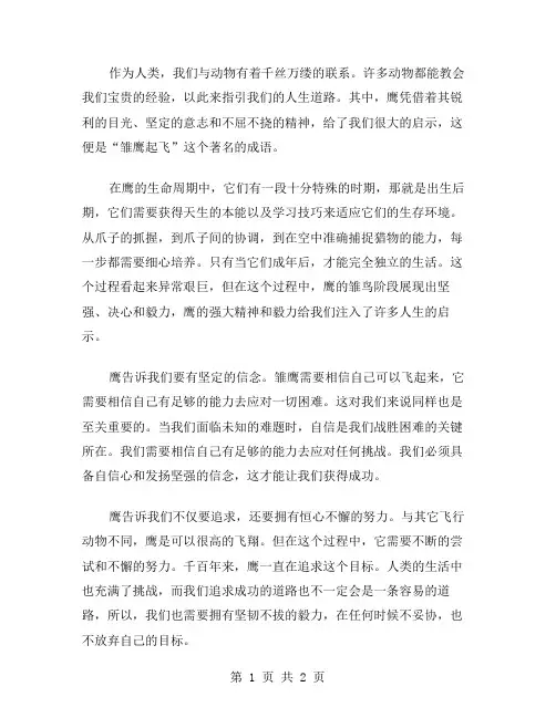 雏鹰起飞作文范文