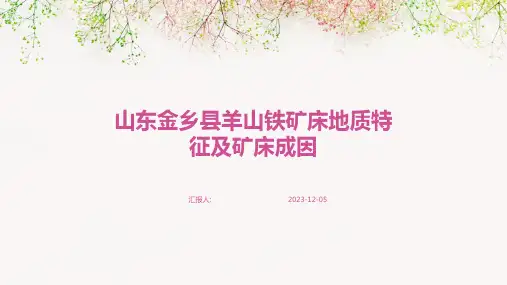 山东金乡县羊山铁矿床地质特征及矿床成因