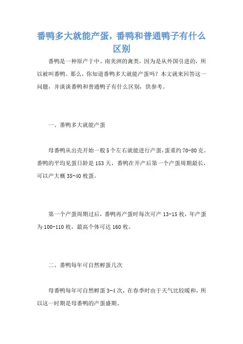 番鸭多大就能产蛋,番鸭和普通鸭子有什么区别