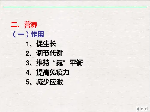 犬的饲养管理课件ppt