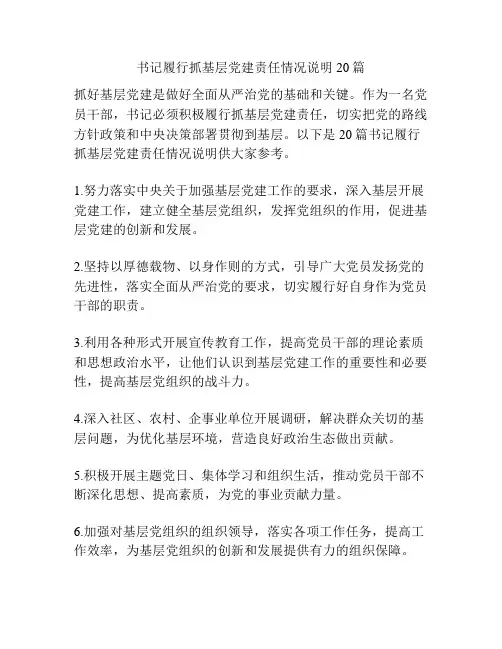 书记履行抓基层党建责任情况说明20篇