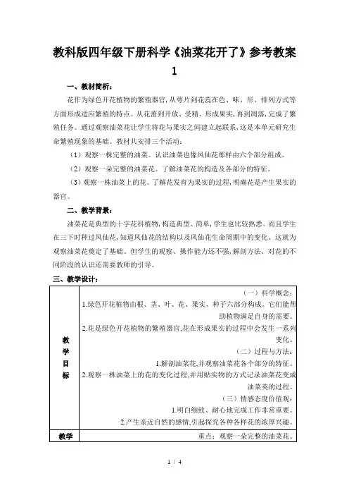 教科版四年级下册科学《油菜花开了》参考教案1