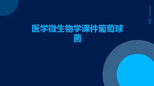 医学微生物学课件葡萄球菌