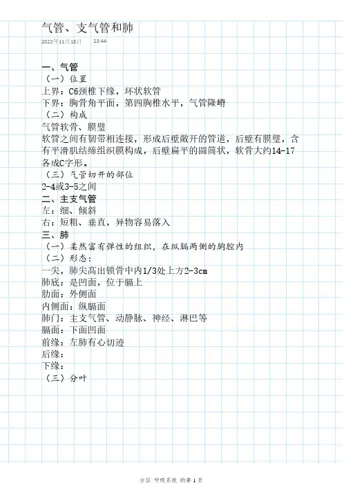 医学解剖-解剖课学习手记-呼吸系统-气管、支气管、肺