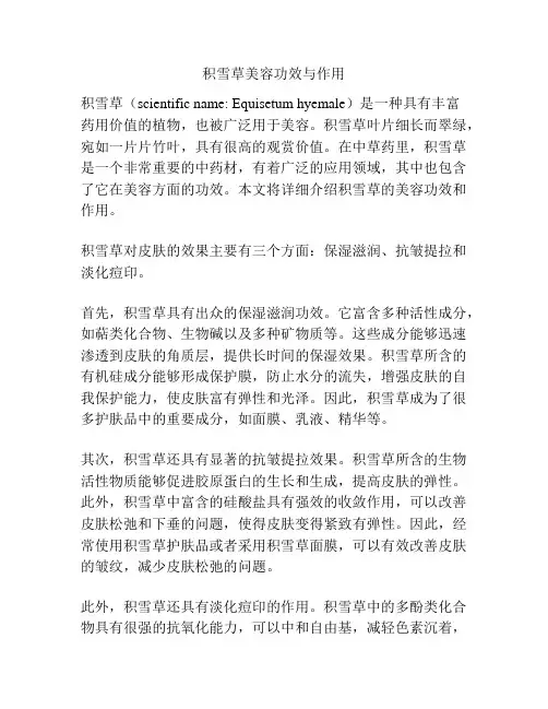 积雪草美容功效与作用