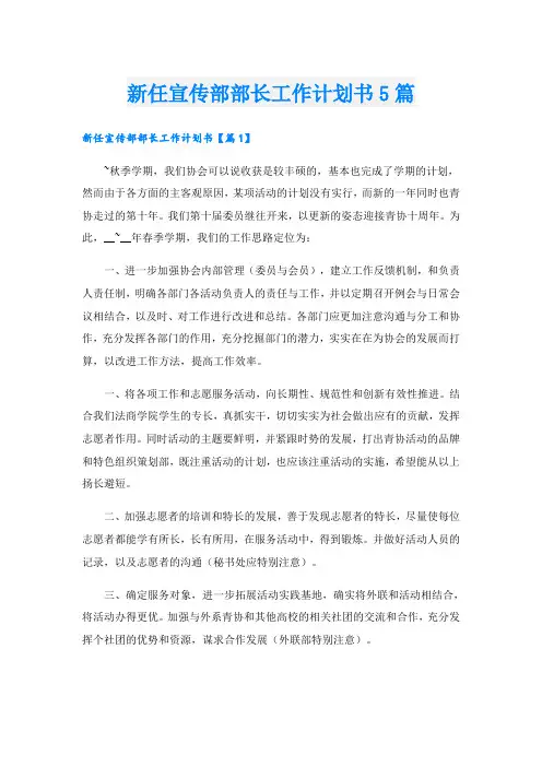 新任宣传部部长工作计划书5篇