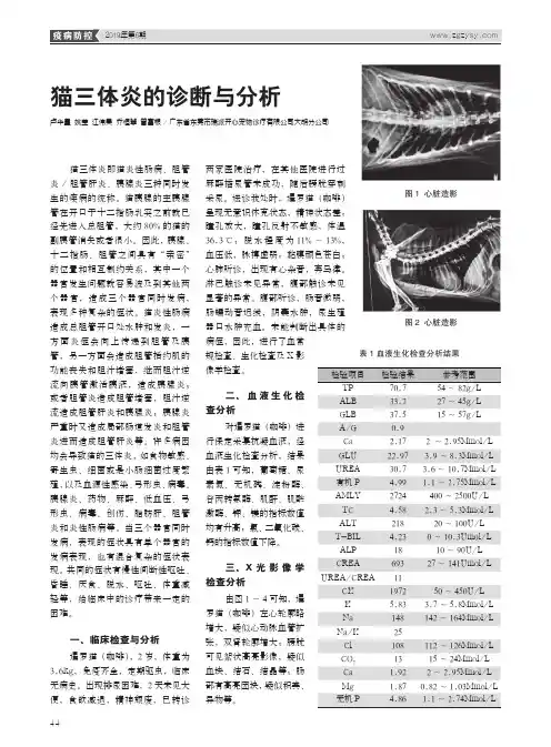 猫三体炎的诊断与分析
