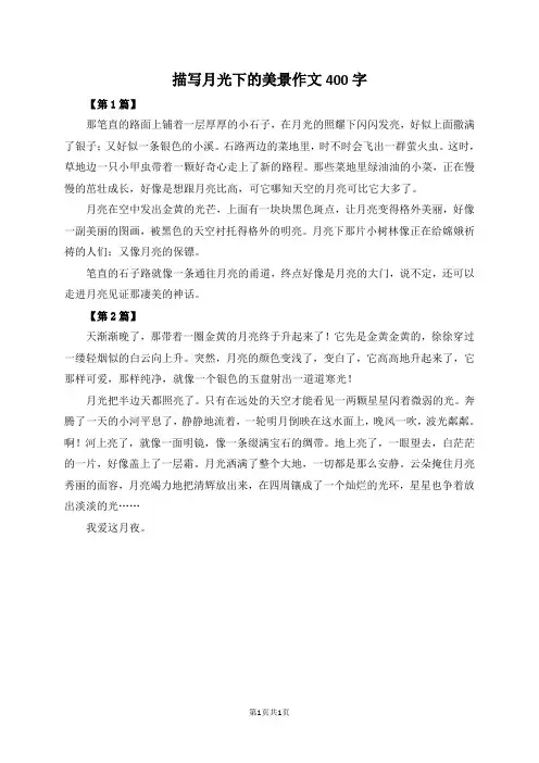 描写月光下的美景作文400字