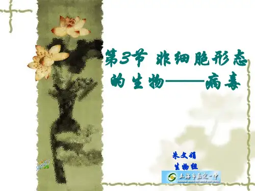 01-11第三章第3节非细胞形态的生物-病毒