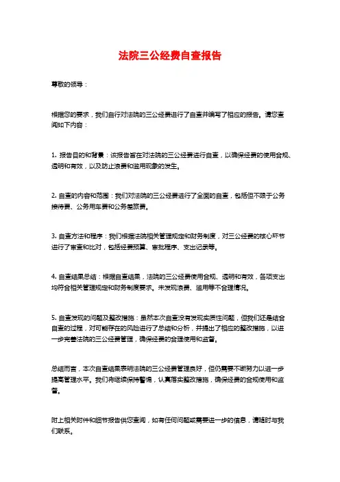 法院三公经费自查报告