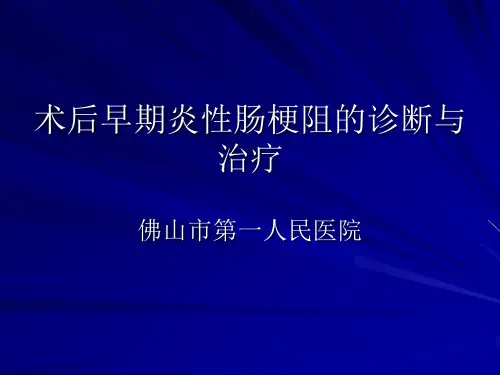 术后早期炎性肠梗阻的诊断
