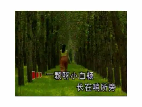 八年级语文白杨礼赞基础学习知识