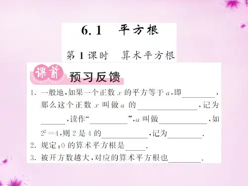 人教初中数学七下 6.1 平方根(第1课时)算术平方根课件 【经典初中数学课件】