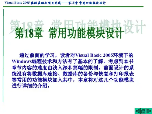 Visual Basic 2005编程基础与项目实践
