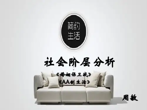 社会阶层分析