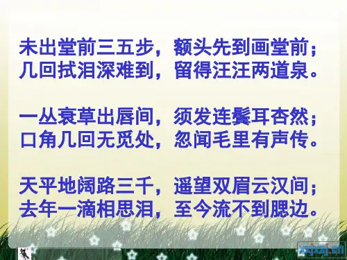人教版高中语文必修二《赤壁赋》（63张PPT）课件