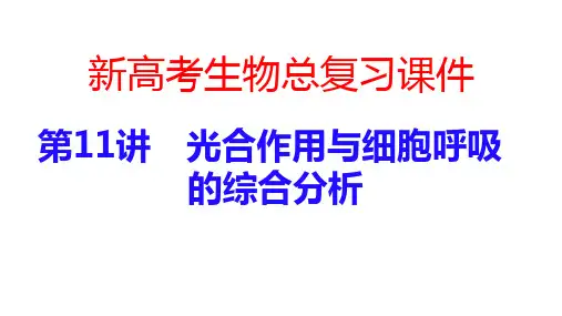 新高考生物总复习课件：第11讲 光合作用与细胞呼吸的综合分析