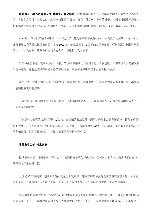 锥栗圆万千农人的致富妄图建瓯年产量全国第一时值锥栗采收季节