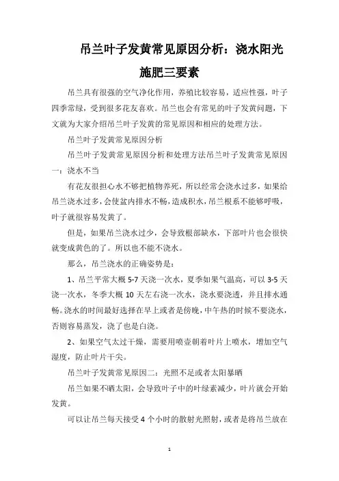 吊兰叶子发黄常见原因分析：浇水阳光施肥三要素