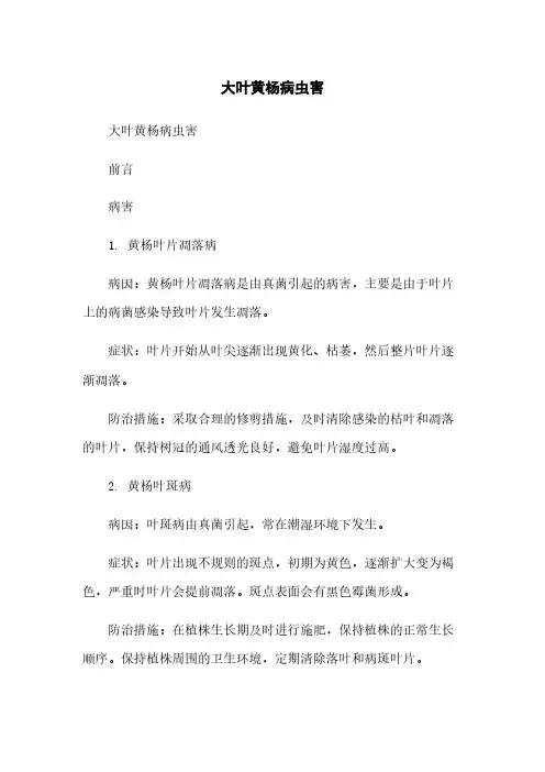 大叶黄杨病虫害