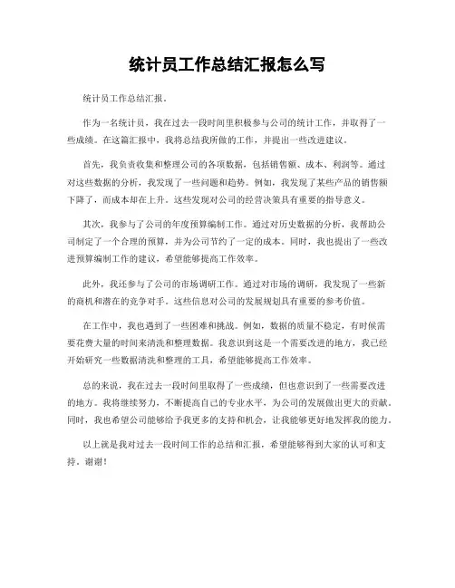 统计员工作总结汇报怎么写