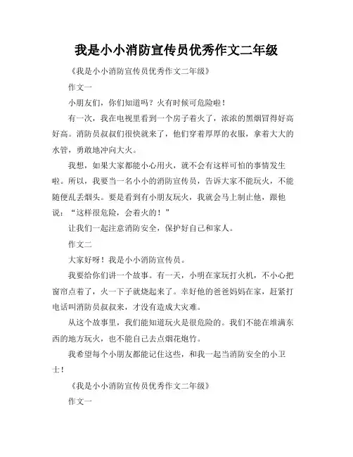 我是小小消防宣传员优秀作文二年级