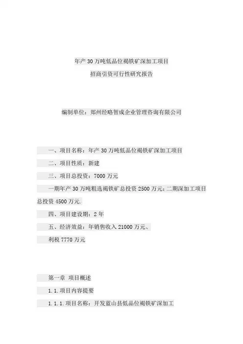 年产30万吨低品位铁矿深加工项目招商引资可行性研究报告怎么写