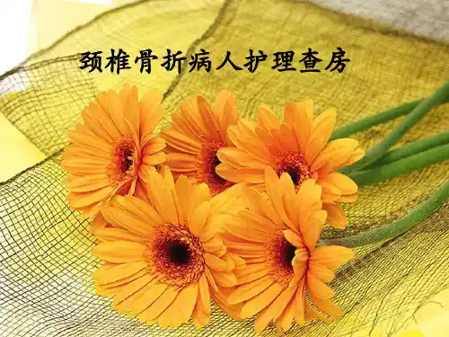 颈椎骨折病人的护理演示精品PPT课件