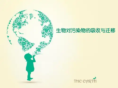生物对污染物的吸收与迁移