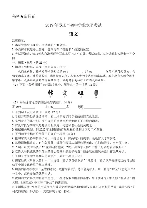 2019年山东省枣庄市中考语文试题(word版,含答案)