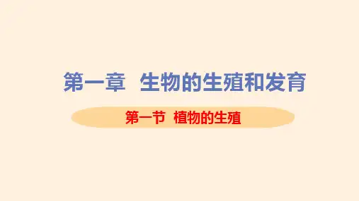 人教版八年级生物下册第一节植物的生殖公开课获奖课件一等奖