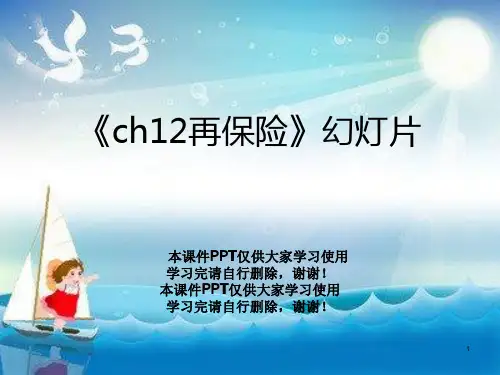 《ch12再保险》幻灯片