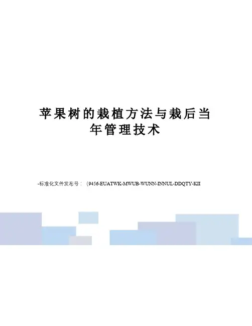 苹果树的栽植方法与栽后当年管理技术