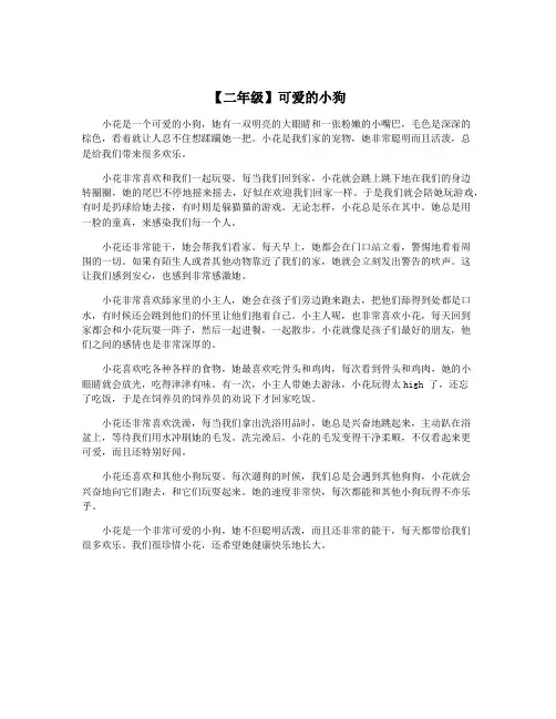 【二年级】可爱的小狗