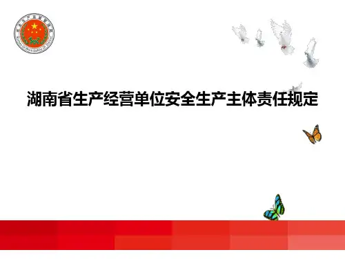 生产经营单位安全生产主体责任规定