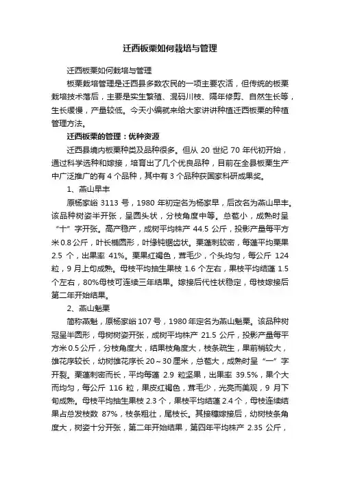 迁西板栗如何栽培与管理