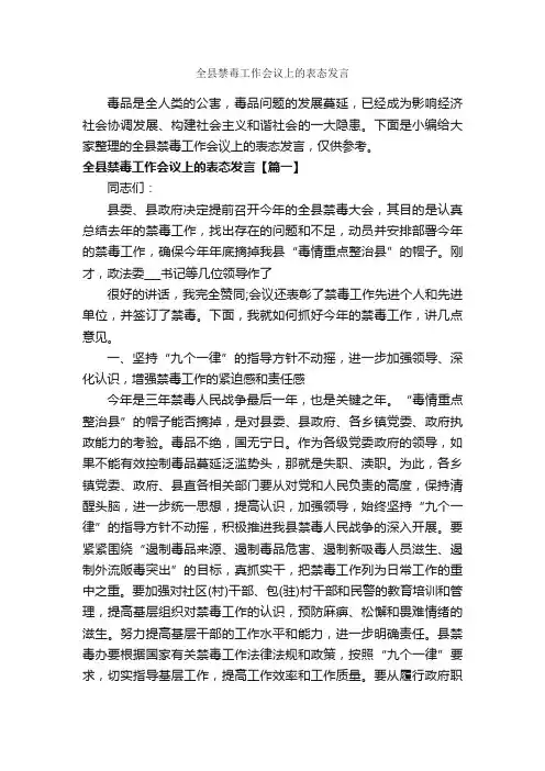 全县禁毒工作会议上的表态发言_发言稿_