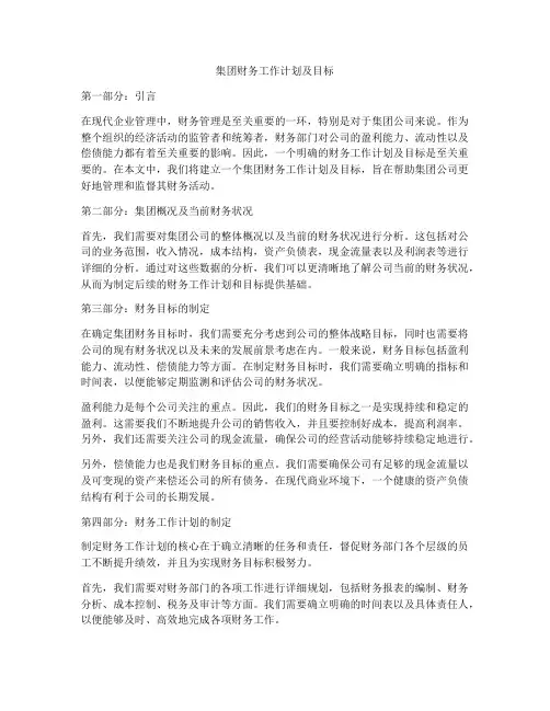 集团财务工作计划及目标