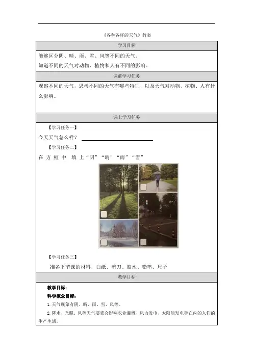 《各种各样的天气》教案