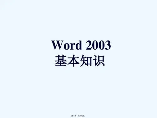 《Word基础知识》PPT课件