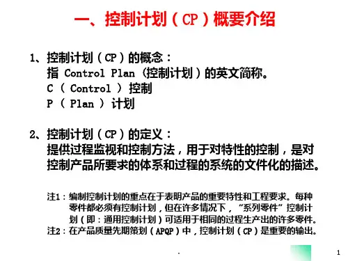 控制计划control-plan