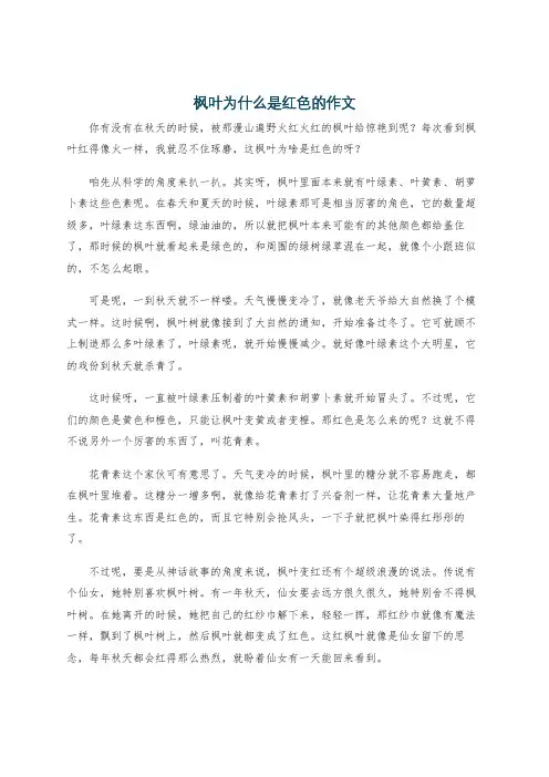 枫叶为什么是红色的作文