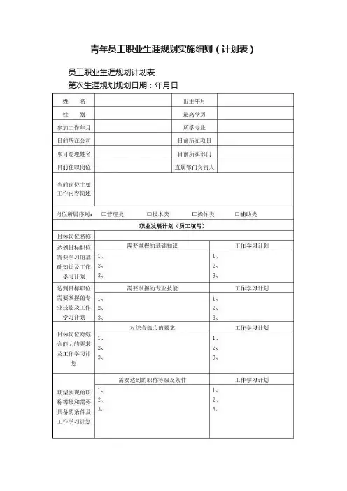 青年员工职业生涯规划实施细则（计划表）