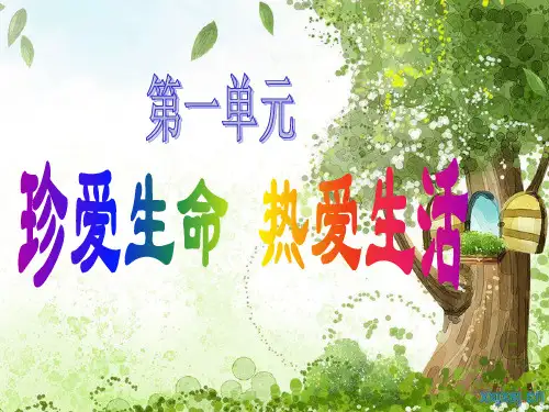 珍爱生命热爱生活PPT课件