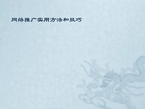 网络推广实用方法和技巧ppt课件