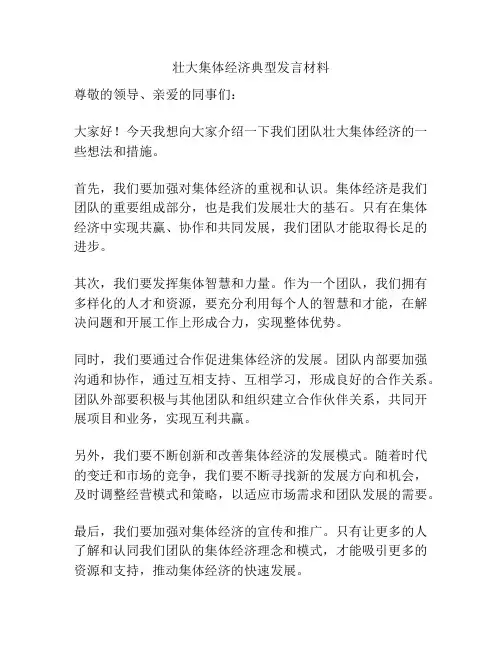 壮大集体经济典型发言材料