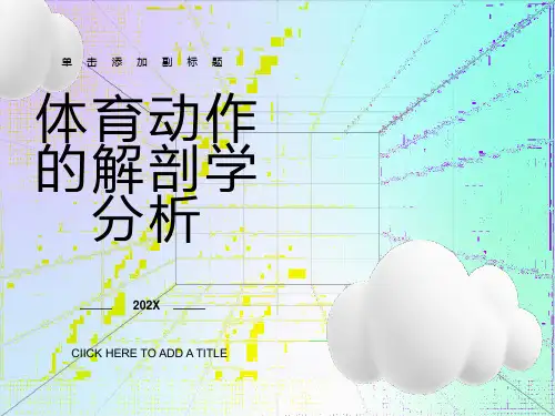 体育动作的解剖学分析