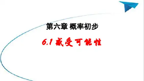 6.1感受可能性(PPT)