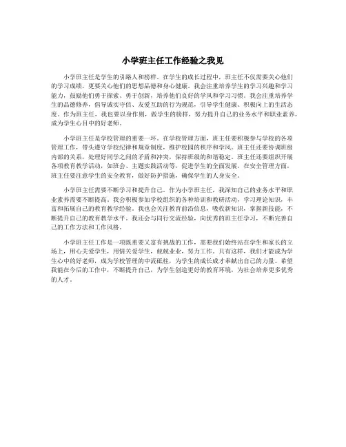 小学班主任工作经验之我见