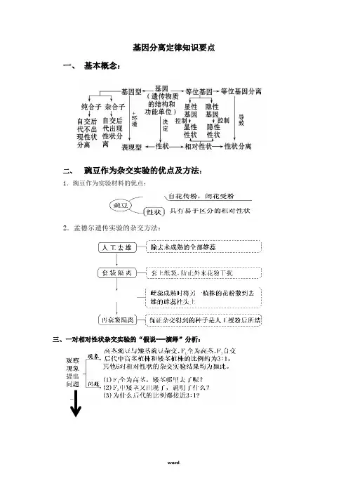 基因分离定律知识要点.